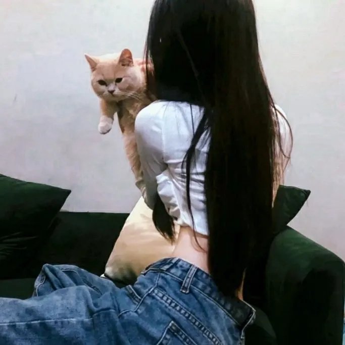 梅花档案